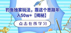 钓鱼独家玩法，靠这个思路年入50w+【揭秘】-一号资源库