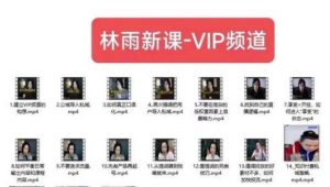 林雨新课VIP频道，玩赚私域/朋友圈/社群-一号资源库