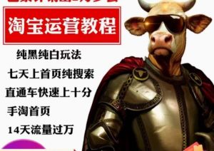 猫老师·淘系算法逆向解密，​纯黑纯白玩法，七天上首页纯搜索，手淘首页14天流量过万-一号资源库