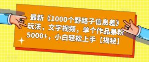 最新《1000个野路子信息差》玩法，文字视频，单个作品暴粉5000+，小白轻松上手【揭秘】-一号资源库