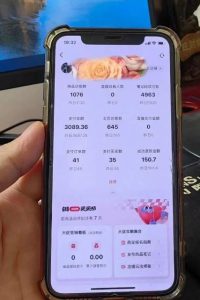 超级蓝海赛道保姆级教学,小红书无货源,无需实拍,如何做到日入1000+【揭秘】-一号资源库