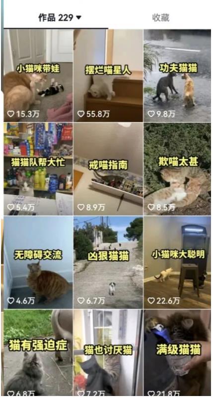 拆解：抖音盘点类中视频变现副业项目，视频版一条龙大解析分享给你-一号资源库