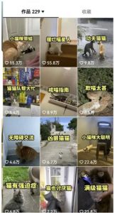 拆解抖音盘点类中视频变现副业项目，视频版一条龙大解析分享给你【视频课程】-一号资源库