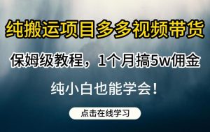 纯搬运项目多多视频带货保姆级教程，1个月搞5w佣金，纯小白也能学会【揭秘】-一号资源库