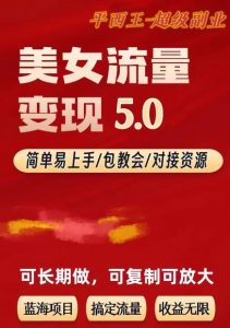 TK美女短视频变现项目无限复制（升级版），全网最高性价比项目【揭秘】-一号资源库