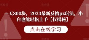 一天800块，2023最新反撸pz玩法，小白也能轻松上手【仅揭秘】-一号资源库