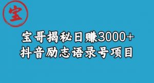 宝哥揭秘日赚3000+抖音励志语录号短视频变现项目-一号资源库