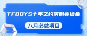 最新蓝海项目，靠最近非常火的TFBOYS十年之约演唱会流量掘金，八月必做的项目【揭秘】-一号资源库
