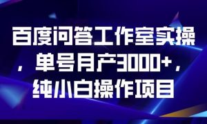 百度问答工作室实操，单号月产3000+，纯小白操作项目【揭秘】-一号资源库