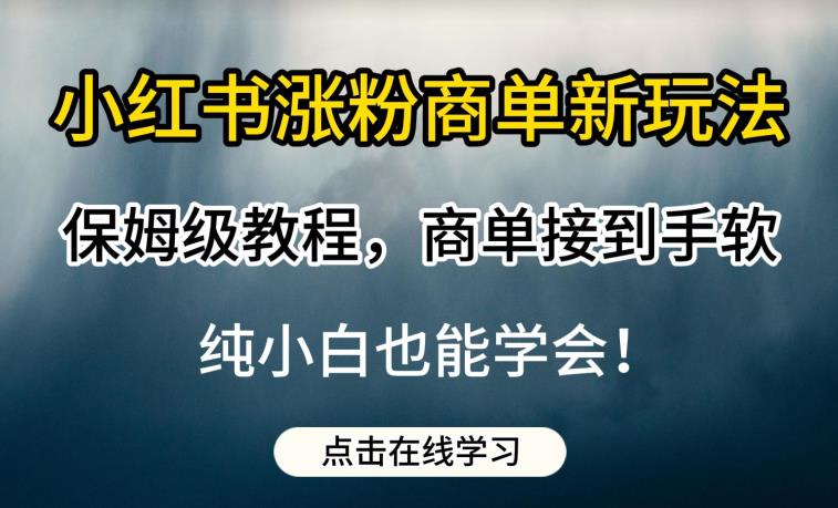 小红书涨粉商单新玩法，保姆级教程，商单接到手软，纯小白也能学会【揭秘】-一号资源库