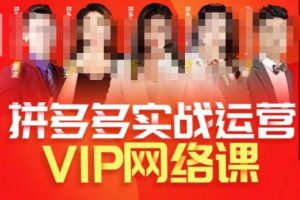 推易拼多多VIP全套直播课程，拼多多店铺实操玩法+实战玩法选款内功+直通车高阶等-一号资源库