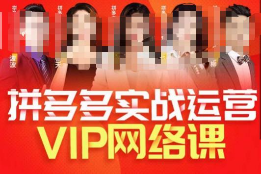 推易拼多多VIP全套直播课程，拼多多店铺实操玩法+实战玩法选款内功+直通车高阶等-一号资源库