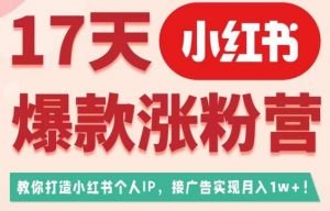 17天小红书爆款涨粉营（广告变现方向），教你打造小红书博主IP、接广告变现的-一号资源库