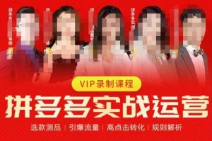 2023推易拼多多实战运营，选款测品、引爆流量、高点击转化、规则解析-一号资源库