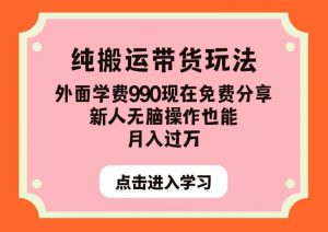 纯搬运带货玩法，外面学费990现在免费分享，新人无脑操作也能月入过万【揭秘】-一号资源库