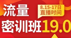 秋秋线上流量密训班19.0,打通流量关卡,线上也能实战流量破局-一号资源库