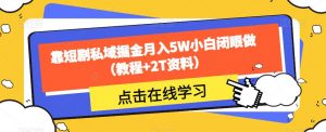 靠短剧私域掘金月入5W小白闭眼做（教程+2T资料）-一号资源库