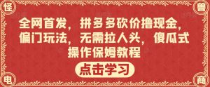 全网首发，拼多多砍价撸现金，偏门玩法，无需拉人头，傻瓜式操作保姆教程【揭秘】-一号资源库