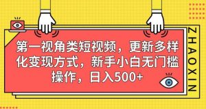 第一视角类短视频，更新多样化变现方式，新手小白无门槛操作，日入500+【揭秘】-一号资源库