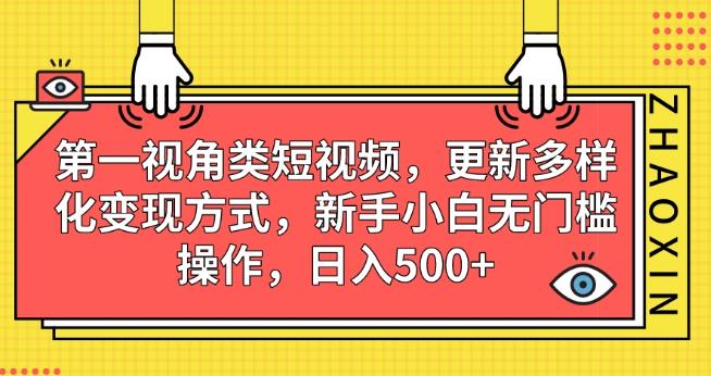 第一视角类短视频，更新多样化变现方式，新手小白无门槛操作，日入500+【揭秘】-一号资源库