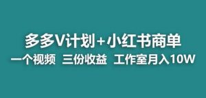 【蓝海项目】多多v计划+小红书商单一个视频三份收益工作室月入10w-一号资源库