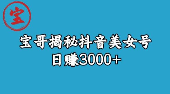 宝哥揭秘抖音美女号玩法，日赚3000+【揭秘】-一号资源库
