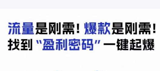 电商盈利精品课：6大盈利密码让产品更好卖，流量是刚需！爆款是刚需！找到”盈利密码”一键起爆-一号资源库