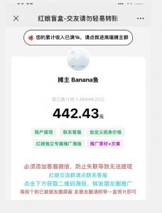 盲盒交友5.0，男粉变现实操项目，亲测变现效果极好【揭秘】-一号资源库