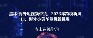 黑冰·海外短视频带货，2023年跨境新风口，海外小黄车带货新机遇-一号资源库