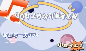 QQ群全自动引流音乐粉，单账号一天轻松引流30+-一号资源库