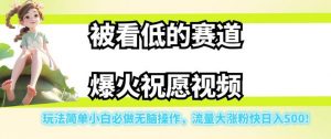 被看低的赛道爆火祝愿视频，玩法简单小白必做无脑操作，流量大涨粉快日入500-一号资源库