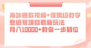 海外爆款视频+保姆级教学，壁纸号项目最新玩法，月入10000+教你一步到位【揭秘】-一号资源库