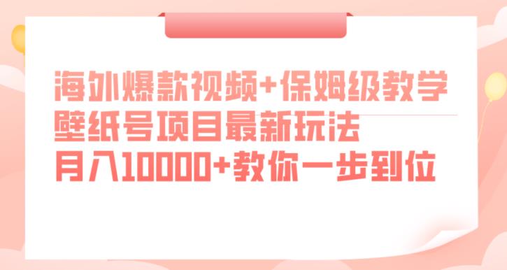 海外爆款视频+保姆级教学，壁纸号项目最新玩法，月入10000+教你一步到位【揭秘】-一号资源库