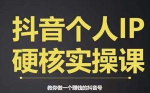 个人IP创富系统实战课，商业定位，流量打造，短视频变现，教你做个赚钱的抖音号-一号资源库