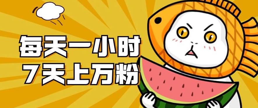 暴力涨粉项目：每天一小时，七天上万粉【揭秘】-一号资源库