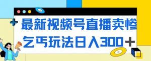 最新视频号直播卖惨乞讨玩法，流量嘎嘎滴，轻松日入300+-一号资源库