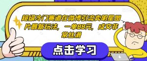 超级冷门赛道在微博引流卖明星图片最新玩法，一单88元，成交非常丝滑【揭秘】-一号资源库