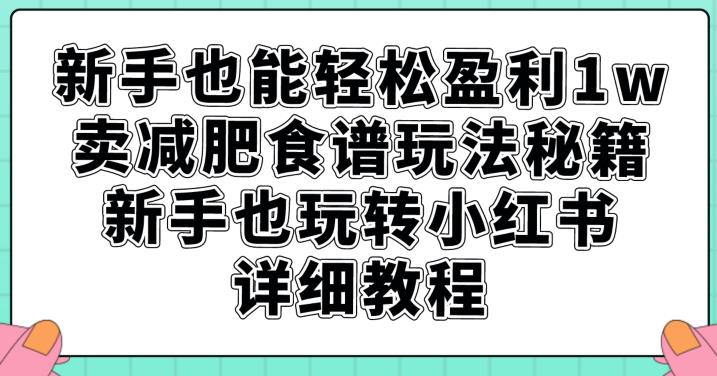 新手也能轻松盈利1w，卖减肥食谱玩法秘籍，新手也玩转小红书详细教程【揭秘】-一号资源库