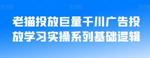 老猫投放巨量千川广告投放学习实操系列基础逻辑-一号资源库
