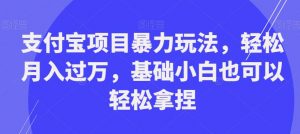 支付宝项目暴力玩法，轻松月入过万，基础小白也可以轻松拿捏【揭秘】-一号资源库