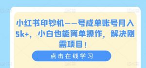 小红书印钞机——号成单账号月入5k+，小白也能简单操作，解决刚需项目【揭秘】-一号资源库