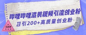 哔哩哔哩B站混剪视频引流创业粉日引300+-一号资源库