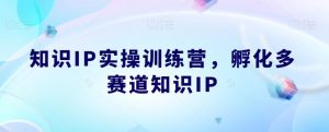 知识IP实操训练营，​孵化多赛道知识IP-一号资源库