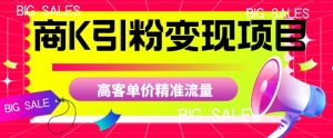 商K引粉变现项目，高客单价精准流量【揭秘】-一号资源库