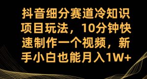 抖音细分赛道冷知识项目玩法，10分钟快速制作一个视频，新手小白也能月入1W+【揭秘】-一号资源库