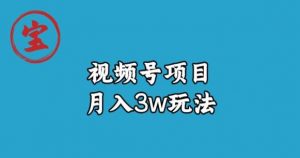 宝哥视频号无货源带货视频月入3w,详细复盘拆解-一号资源库