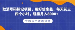 取消号码标记项目，用好信息差，每天花三四个小时，轻松月入8000+【揭秘】-一号资源库