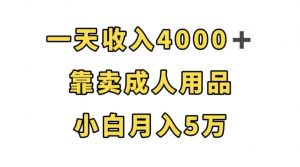 一天收入4000+，靠卖成人用品，小白轻松月入5万【揭秘】-一号资源库