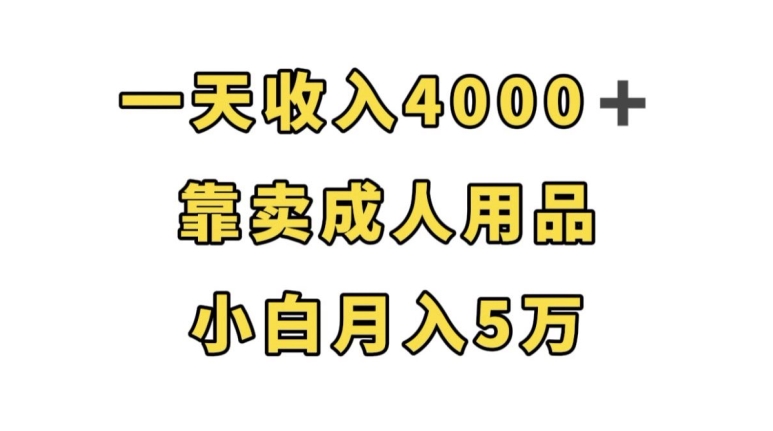 一天收入4000+，靠卖成人用品，小白轻松月入5万【揭秘】-一号资源库