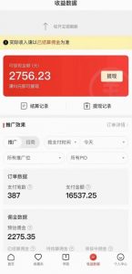 拼多多无人直播不封号玩法，0投入，3天必起，日入1000+-一号资源库